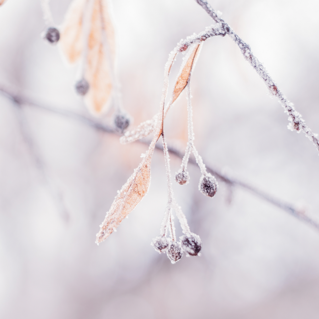 A 4-Step Winter Skincare Routine To Keep Your Skin Hydrated & Glowing All Season Long