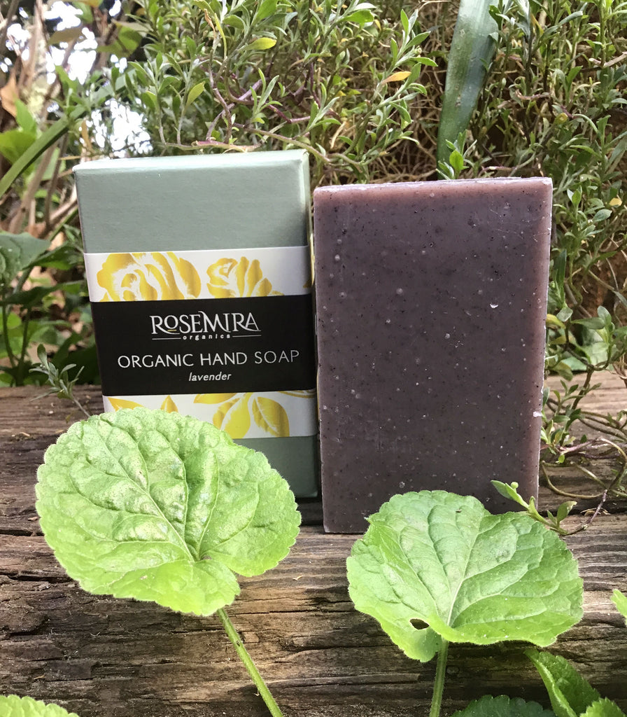 Organic Hand Soap in Lavender sitting on a wood plank with plants.