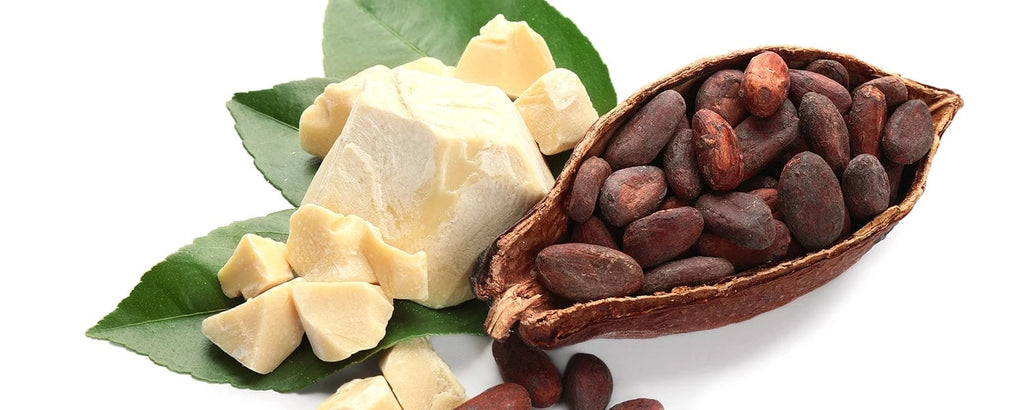 Cacao ingredients for Rosemira Skincare in natural setting