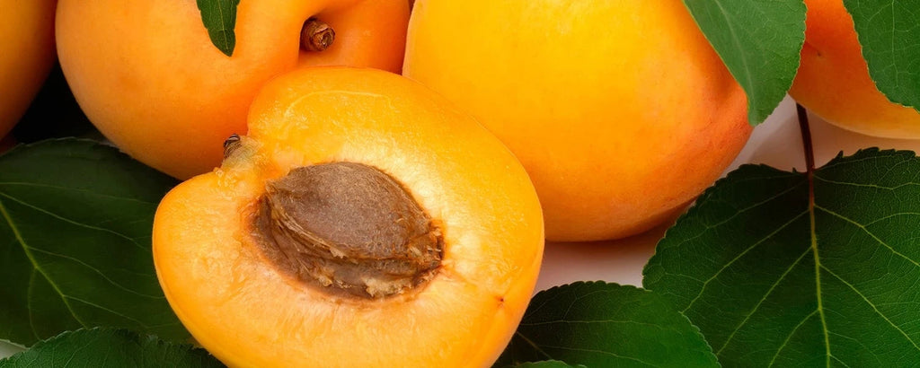 Fresh apricot, rich ingredient for Rosemira Skincare products