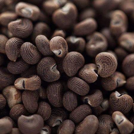 Ambrette seed extract in Rosemira Skincare for natural skin nourishment