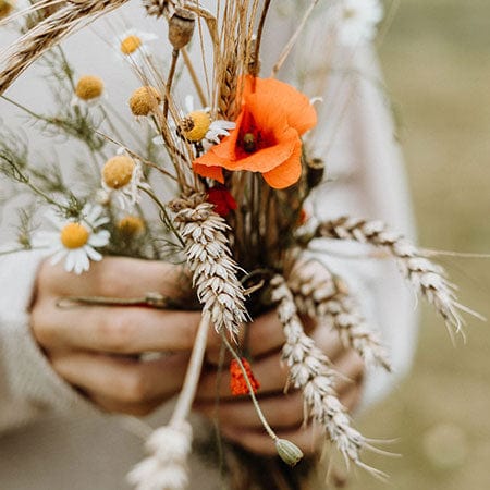 Handcrafted ingredients in Rosemira Skincare for personalized skincare solutions