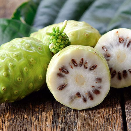 Noni berry extract in Rosemira Skincare for nourishing and revitalizing skin