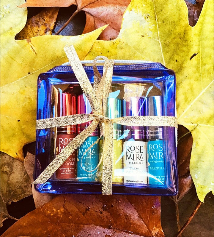 Holiday Toner Sampler Pack in plastic gift bag on leaves